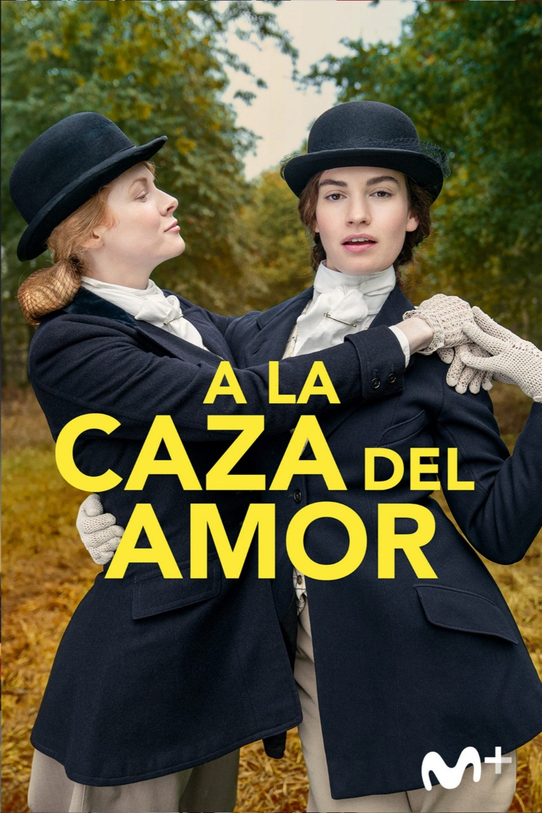 Ver A la caza del amor serie online