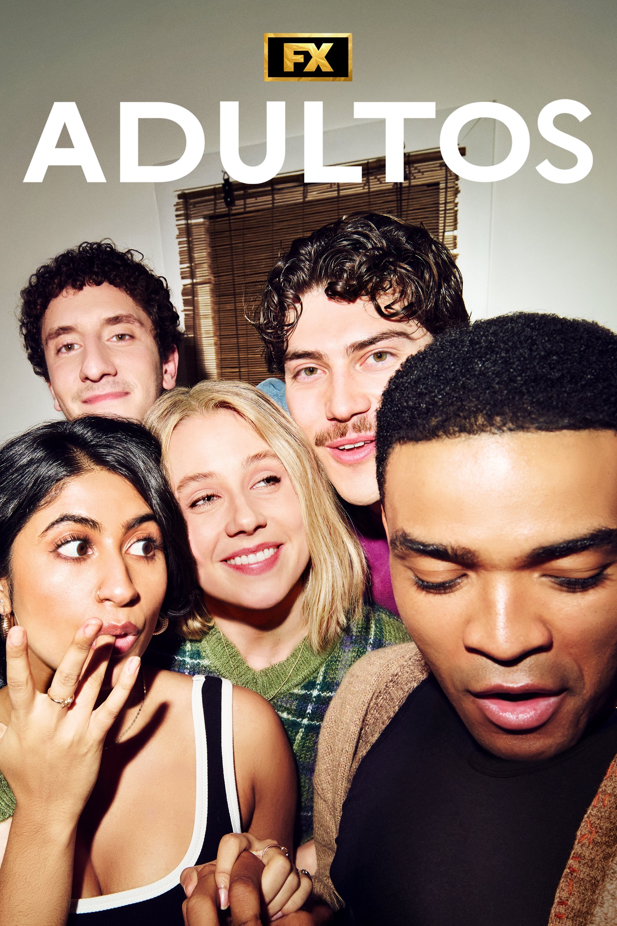 Ver Adults serie online