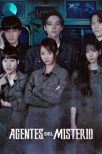 Ver Agentes del misterio serie online
