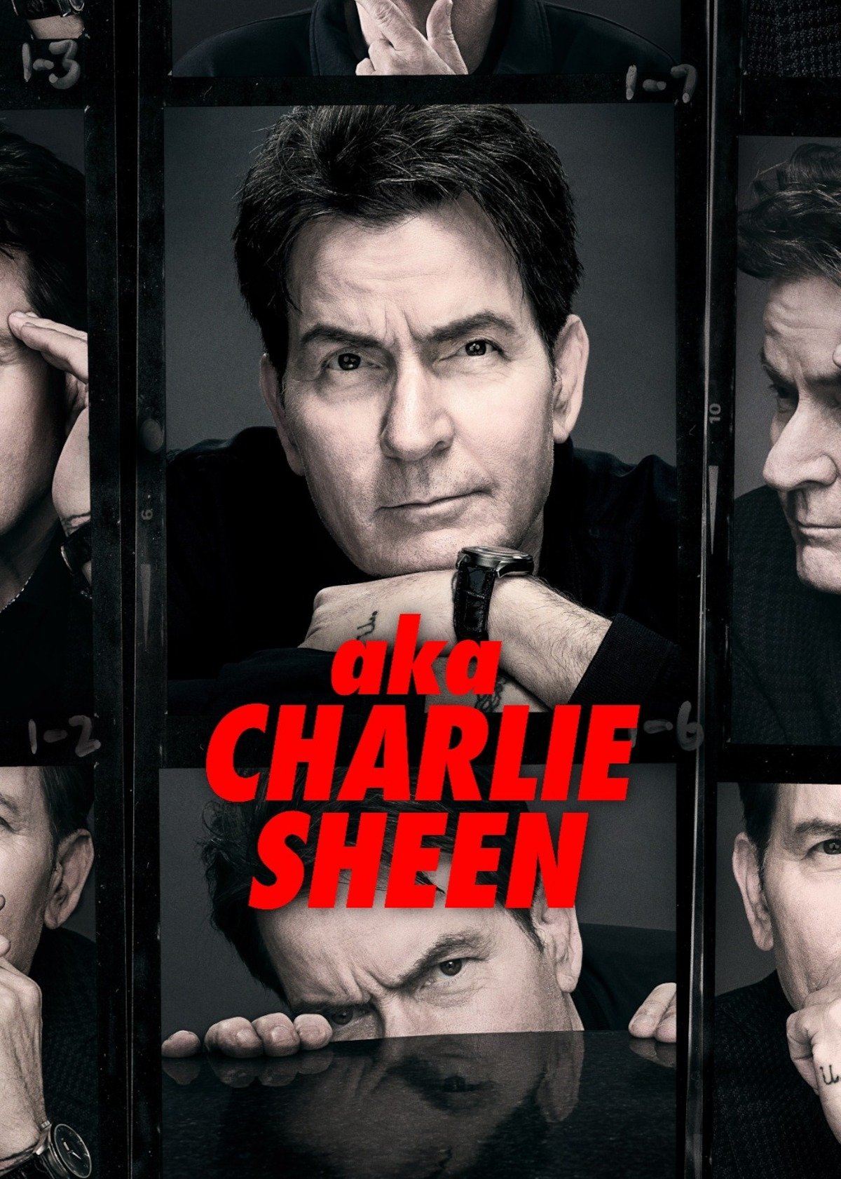 Ver Alias Charlie Sheen serie online