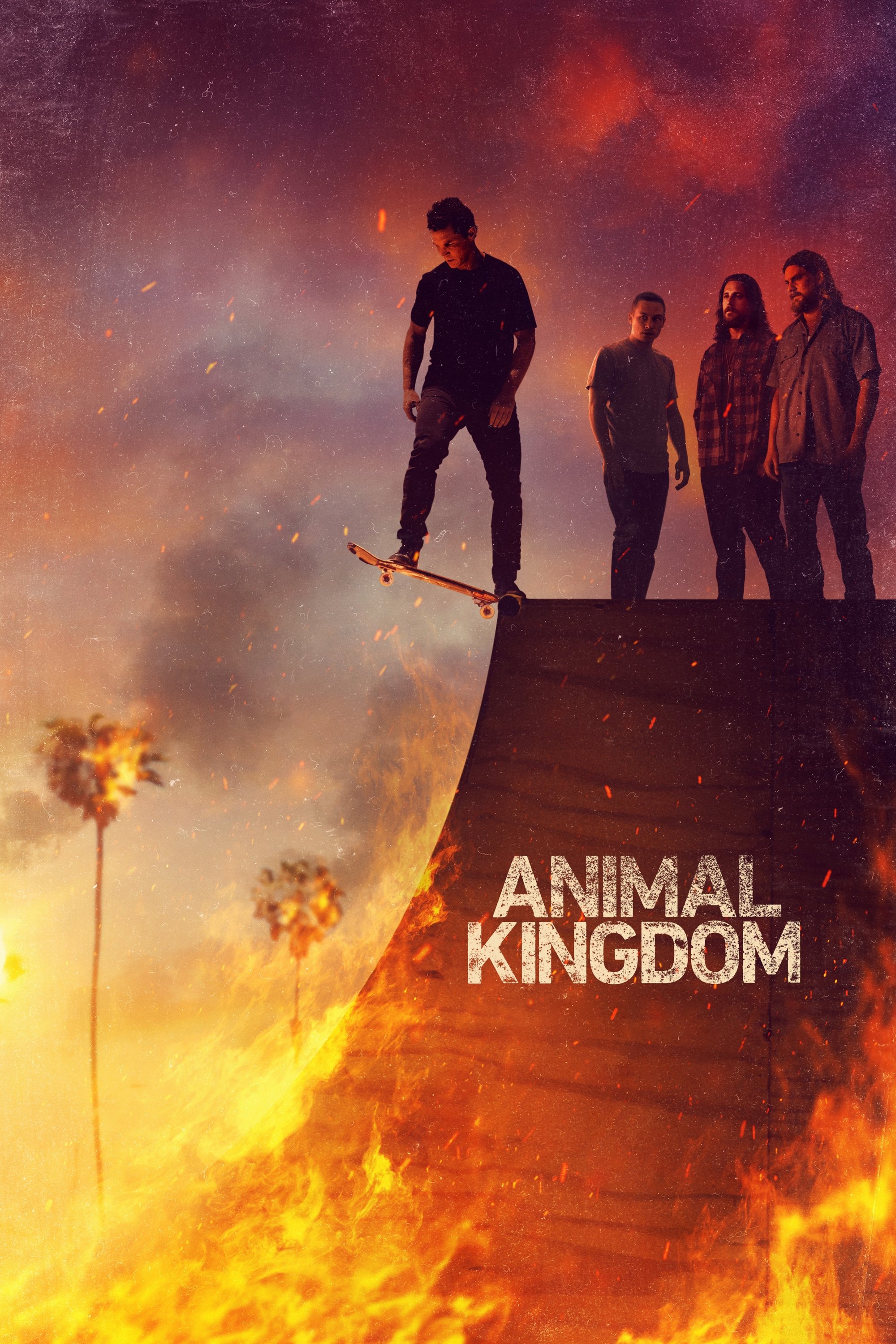 Ver Animal Kingdom serie online