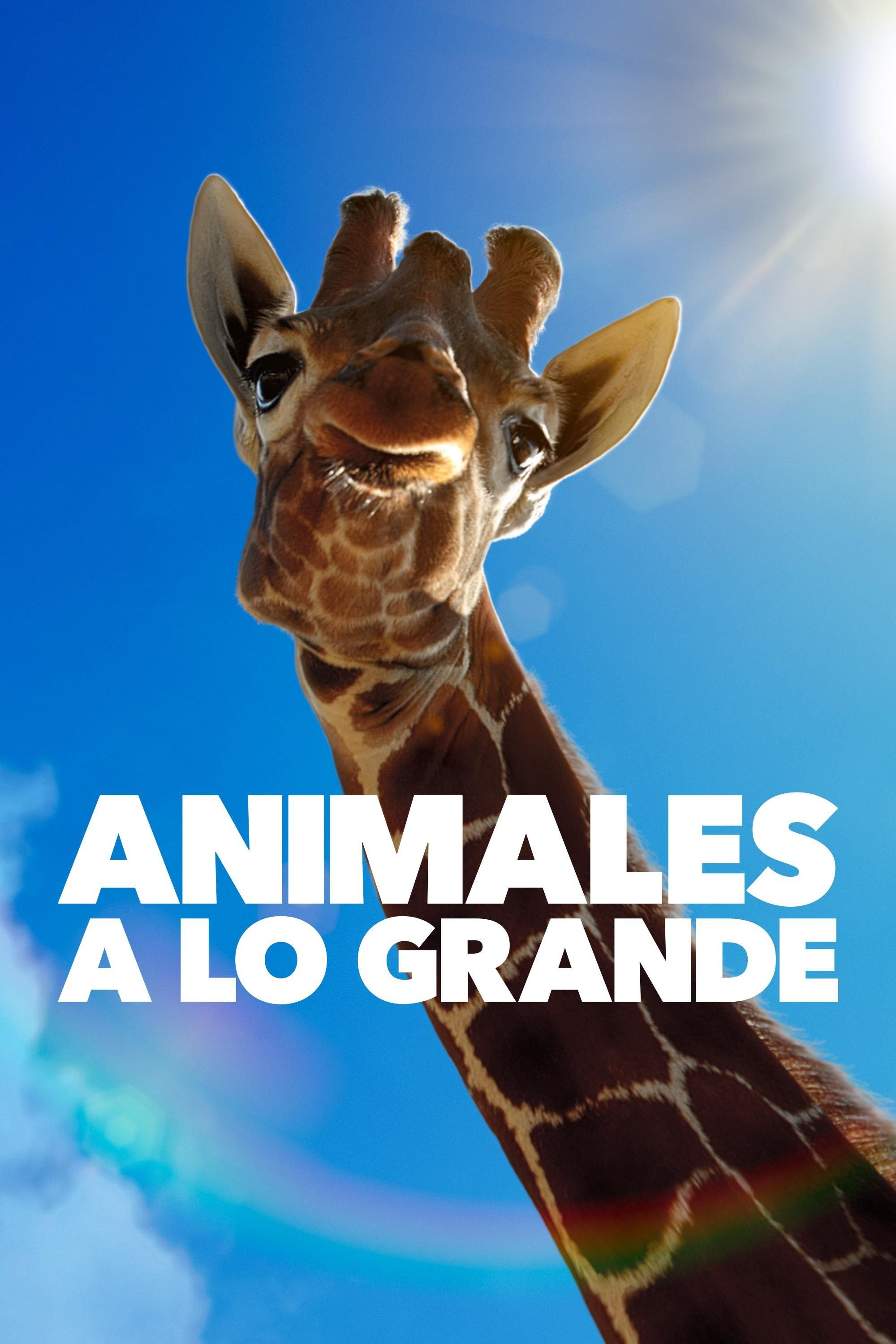Ver Animales a lo grande serie online