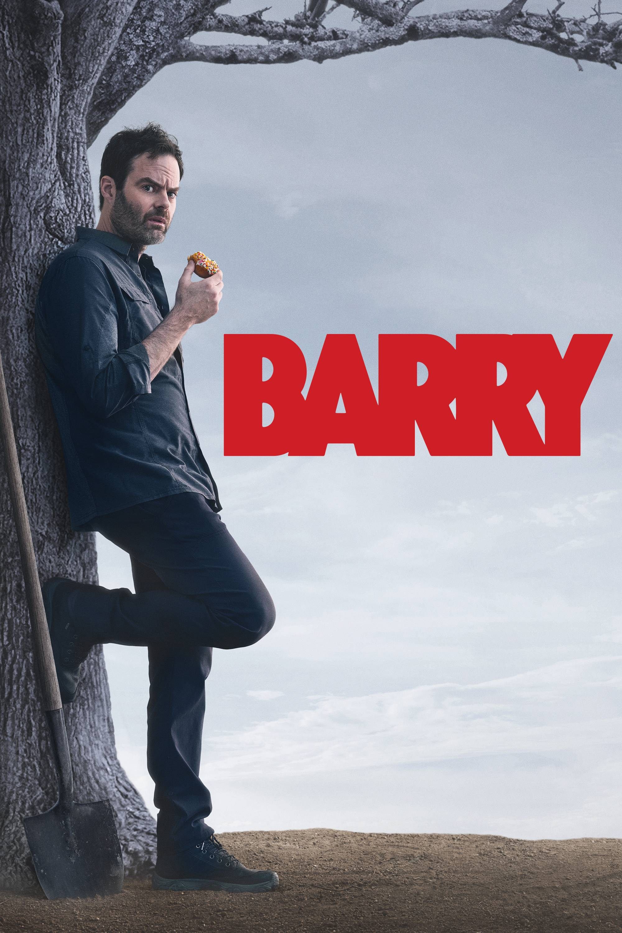 Ver Barry serie online