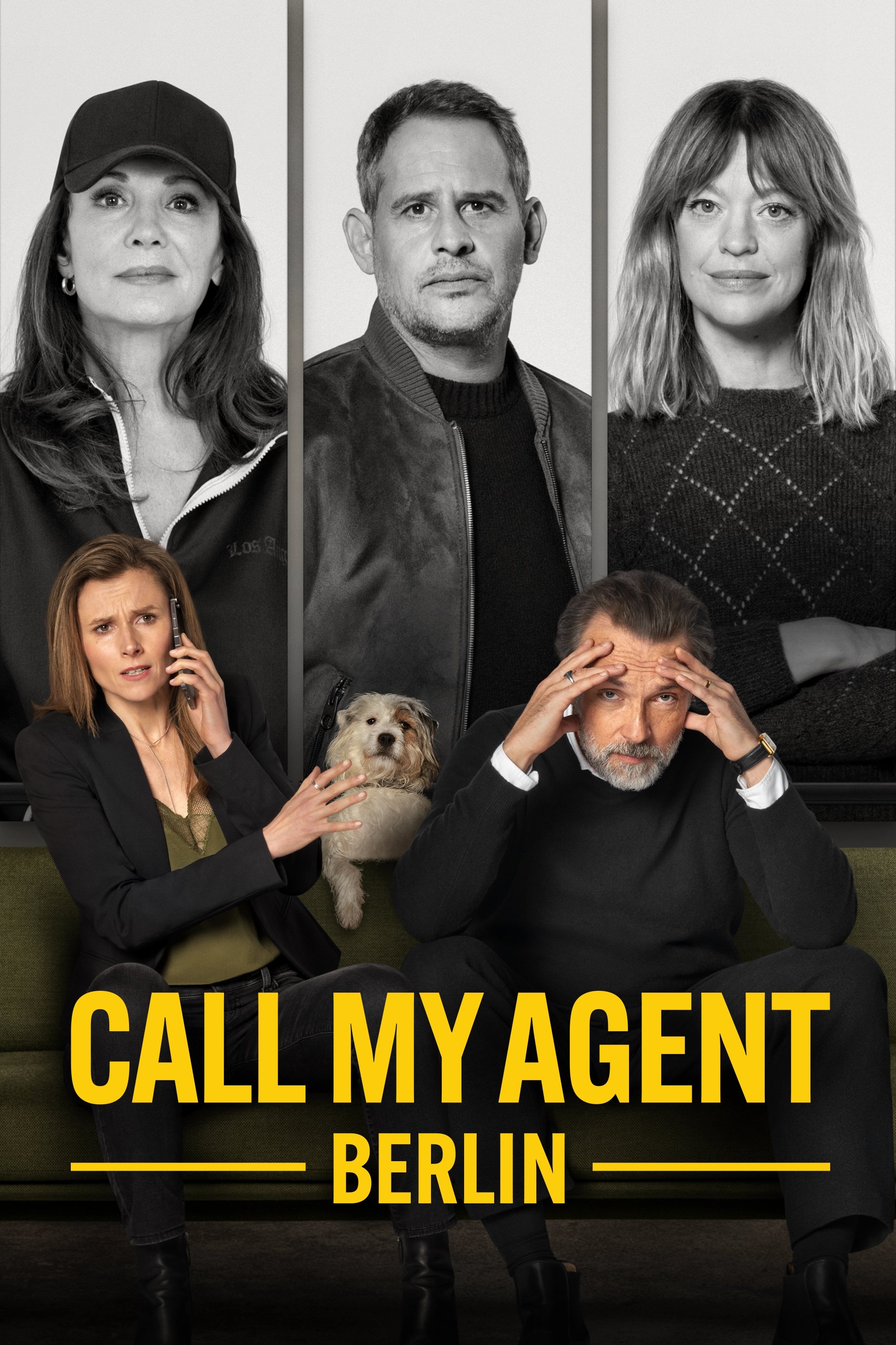 Ver Call My Agent Berlin serie online