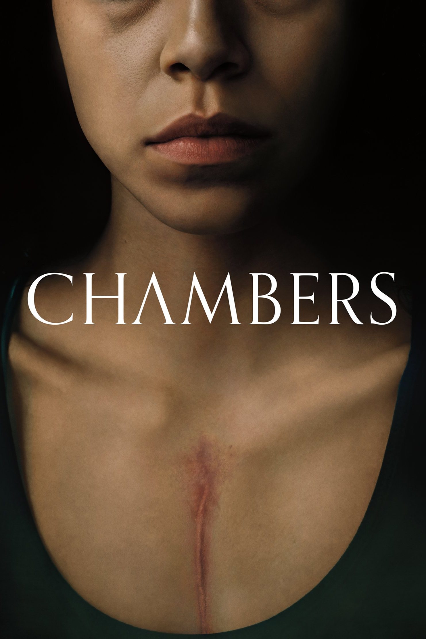 Ver Chambers serie online