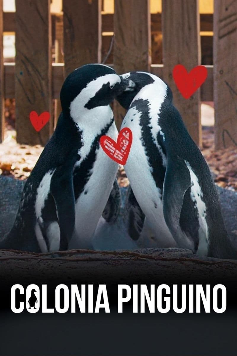 Ver Colonia Pingüino serie online