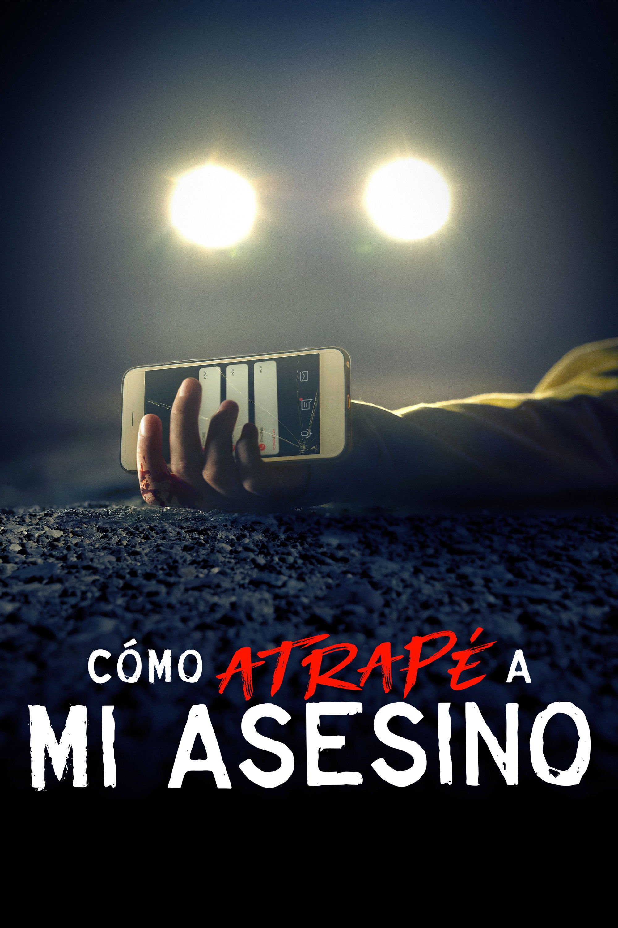 Ver Cómo atrapé a mi asesino serie online