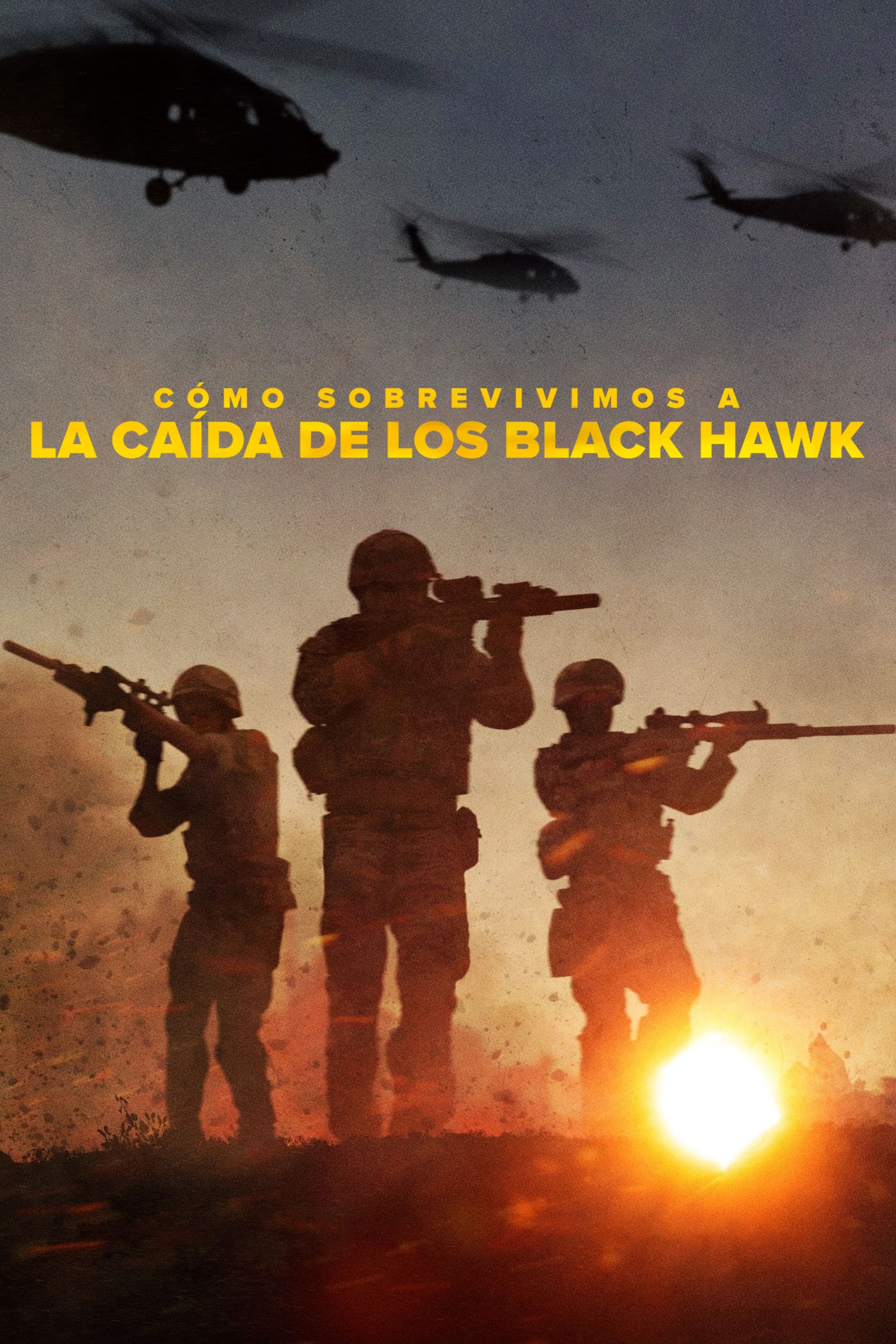 Ver Cómo sobrevivimos a la caída de los Black Hawk serie online