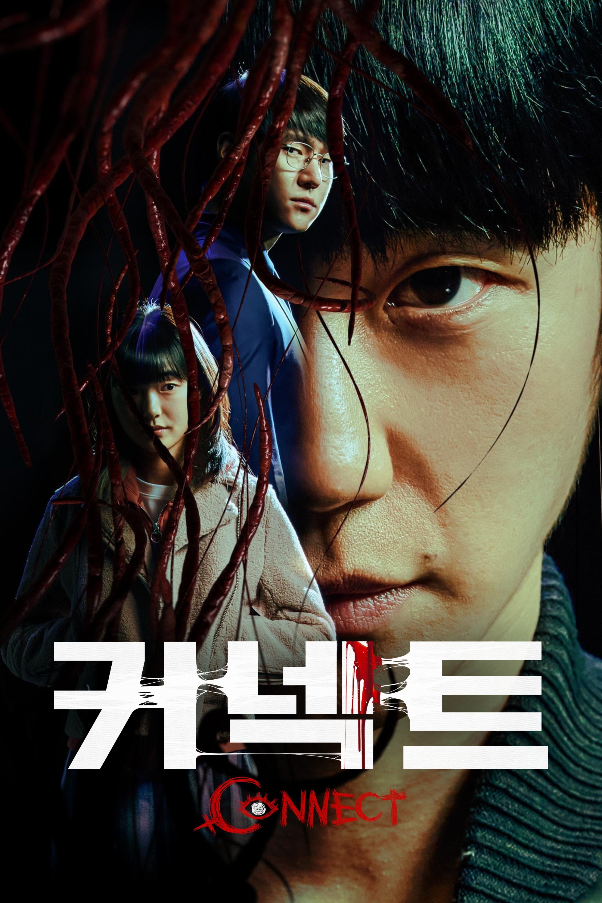 Ver Connect serie online