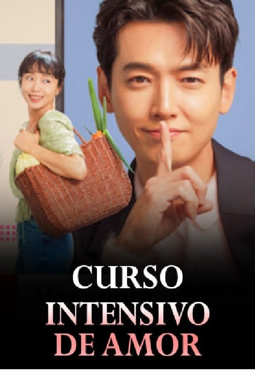 Ver Curso intensivo de amor serie online