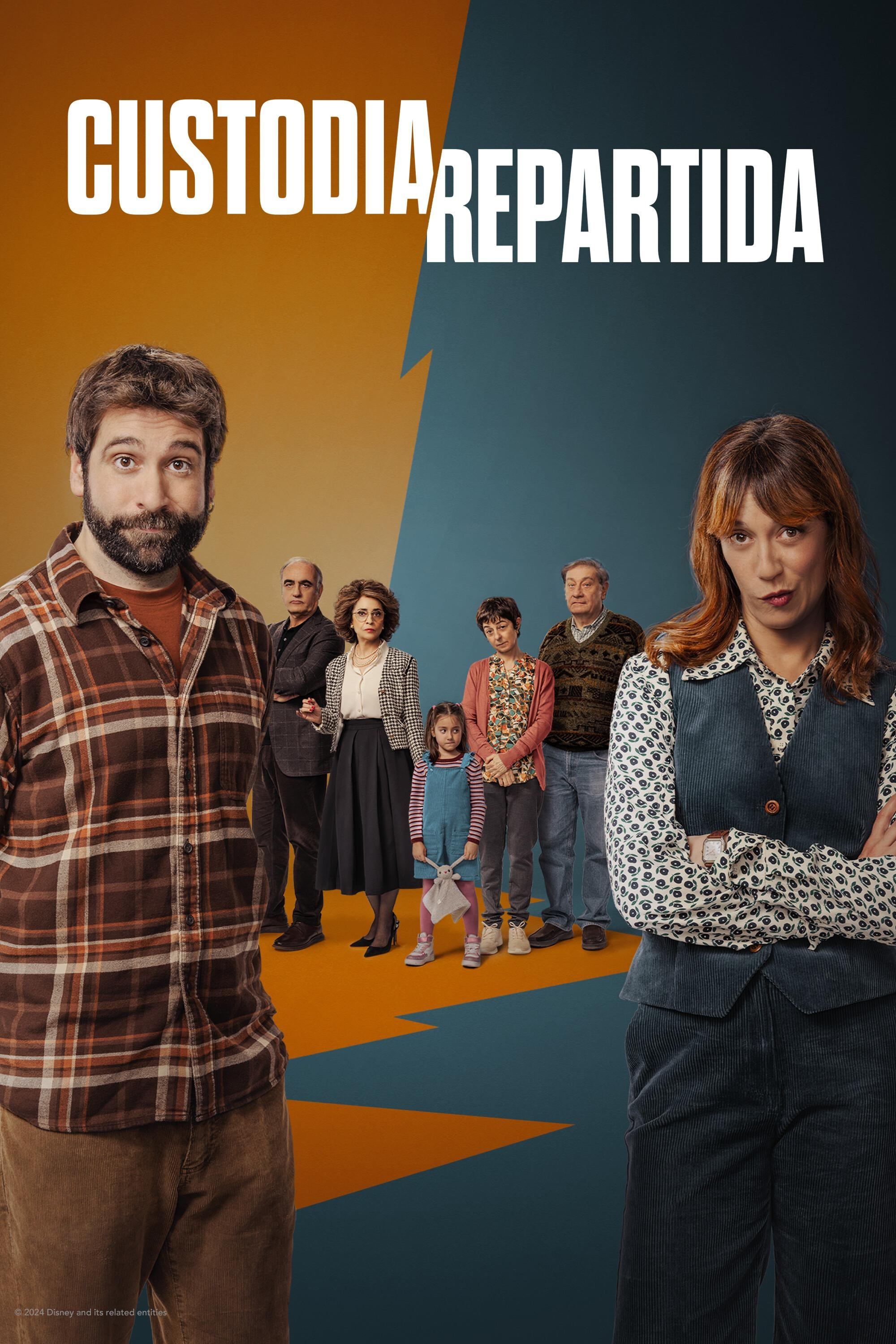Ver Custodia repartida serie online