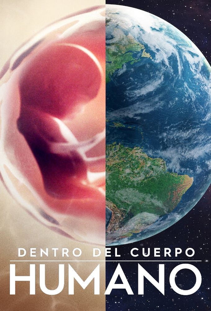 Ver Dentro del cuerpo humano serie online