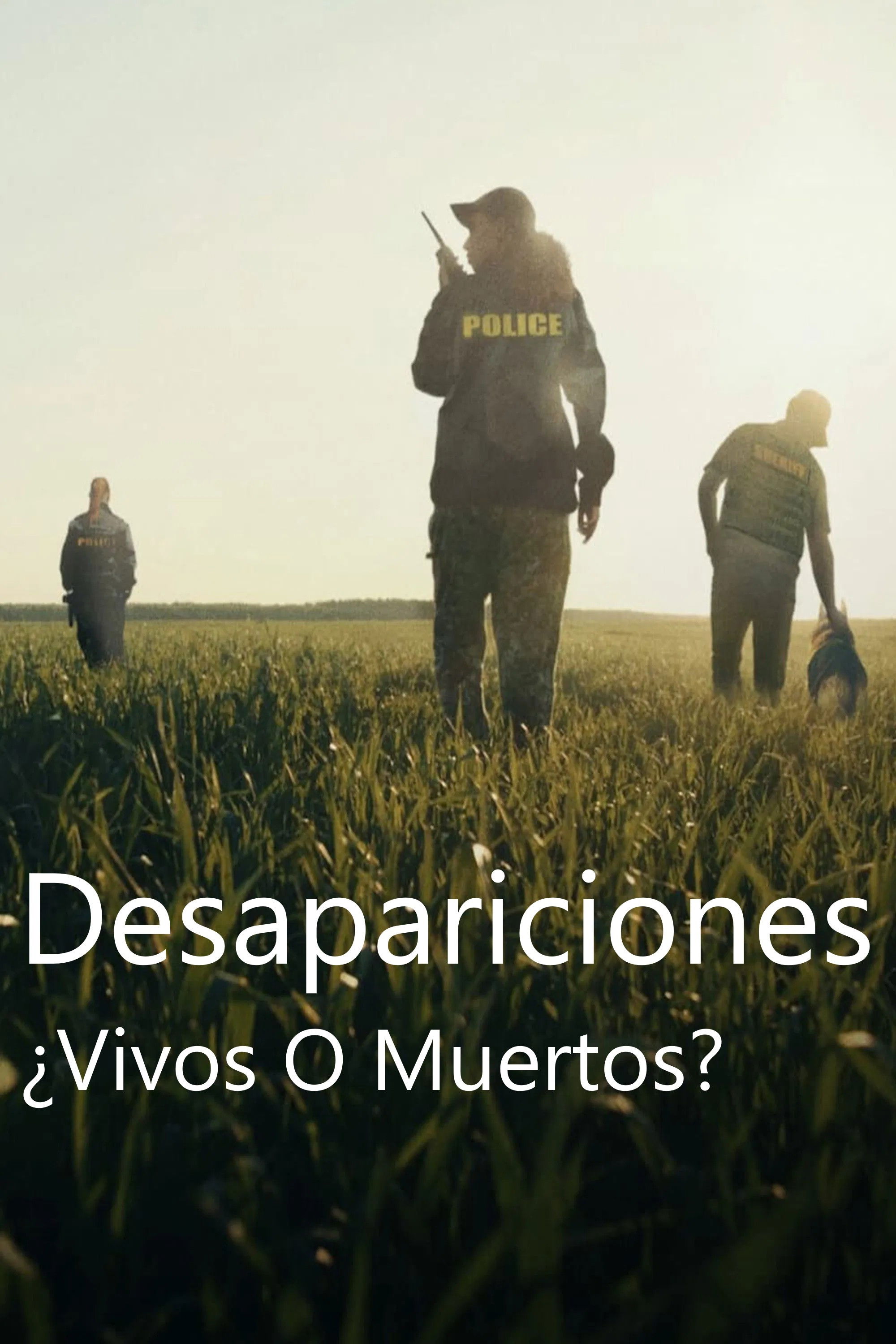 Ver Desapariciones ¿Vivos O Muertos? serie online