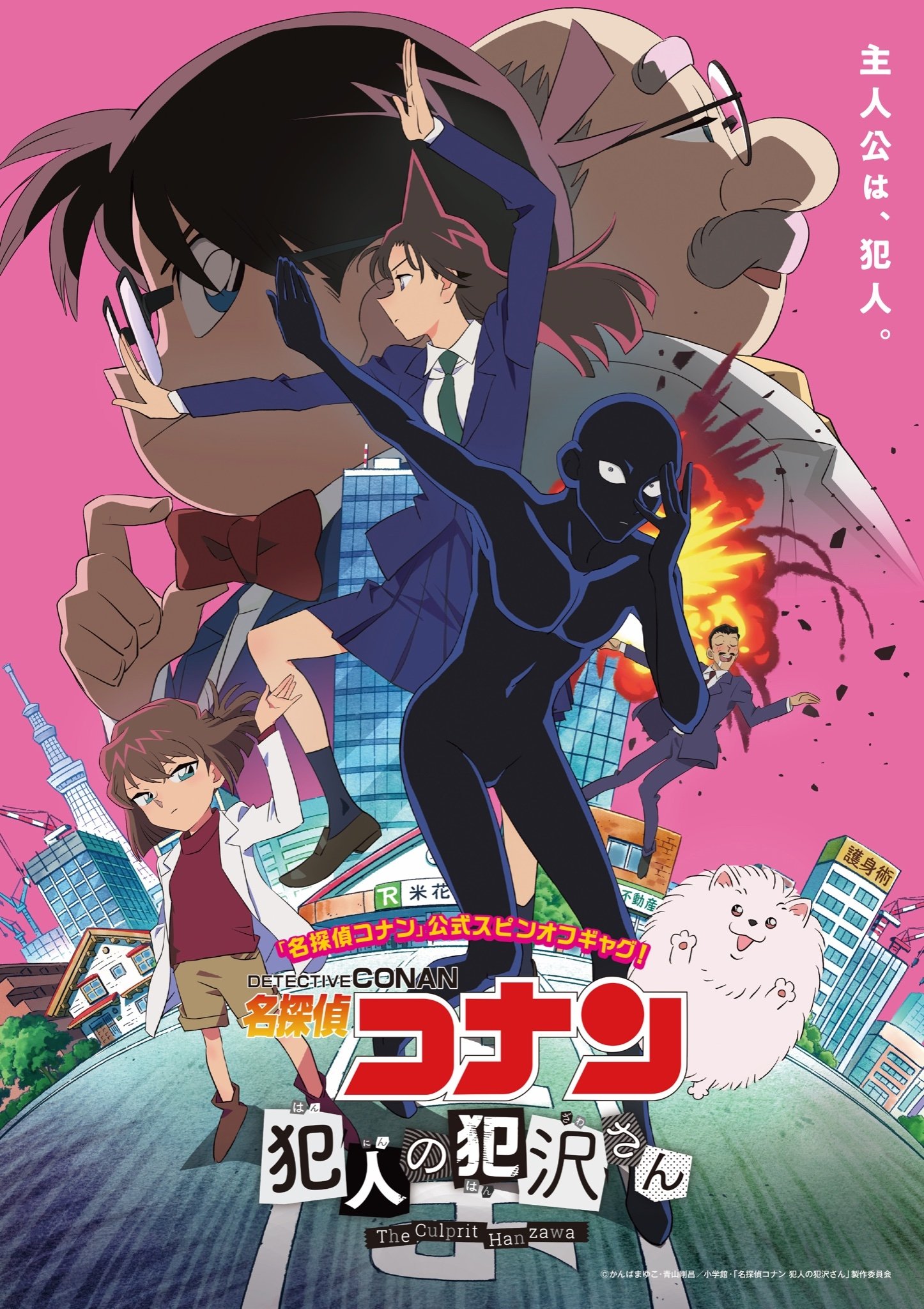 Ver Detective Conan: Hanzawa el culpable serie online