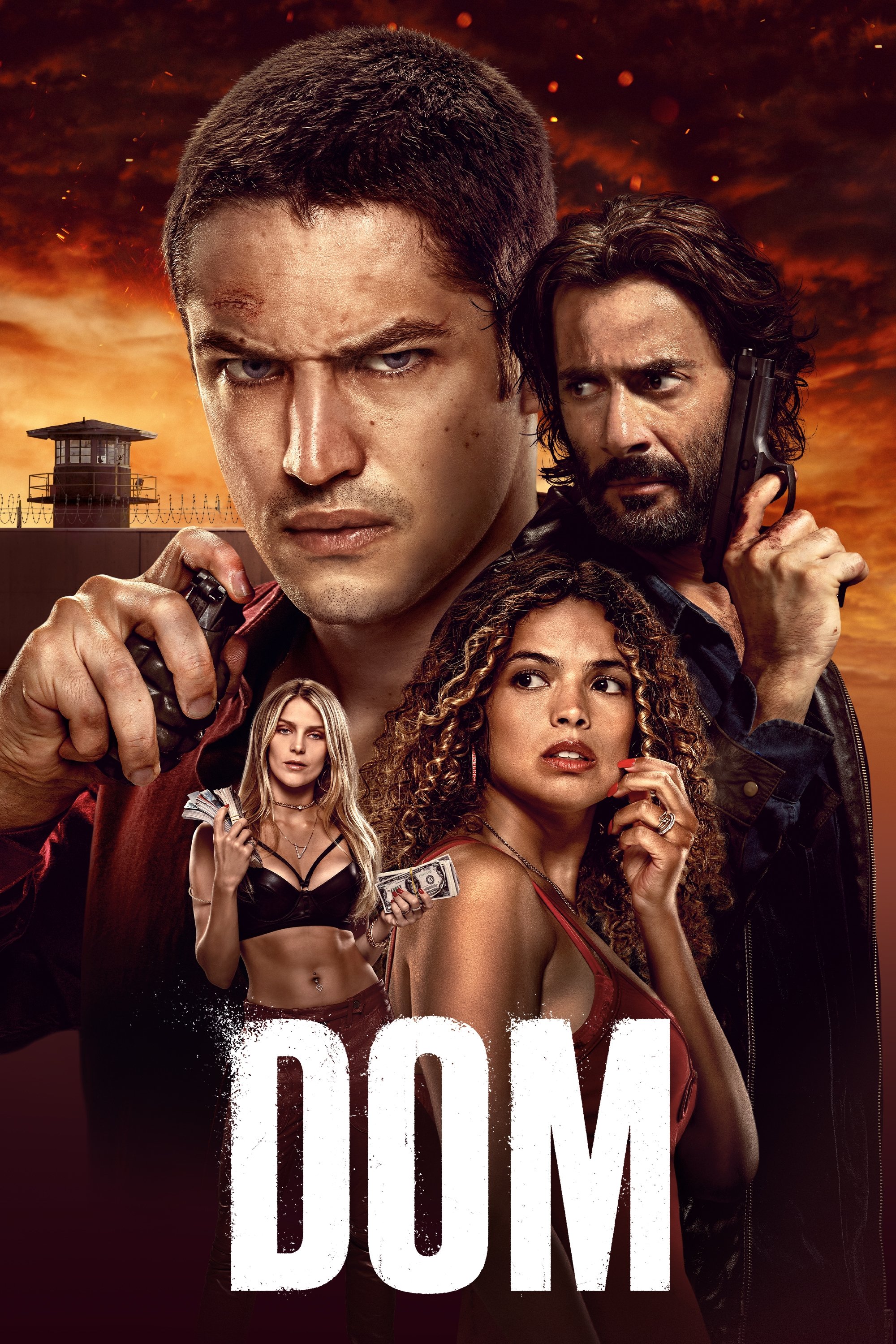 Ver DOM serie online