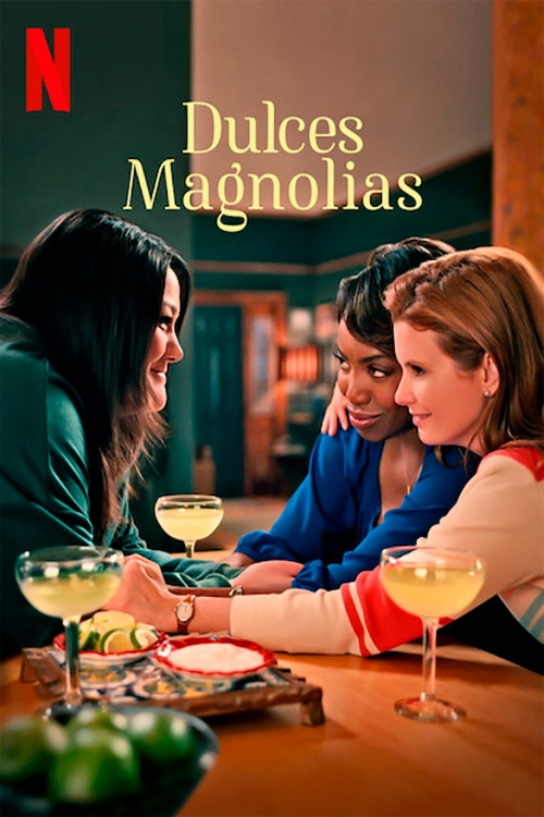 Ver Dulces magnolias serie online