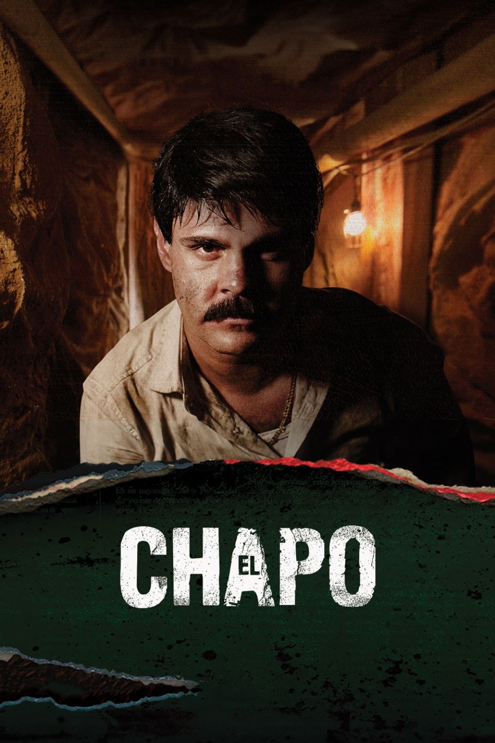 Ver El Chapo serie online