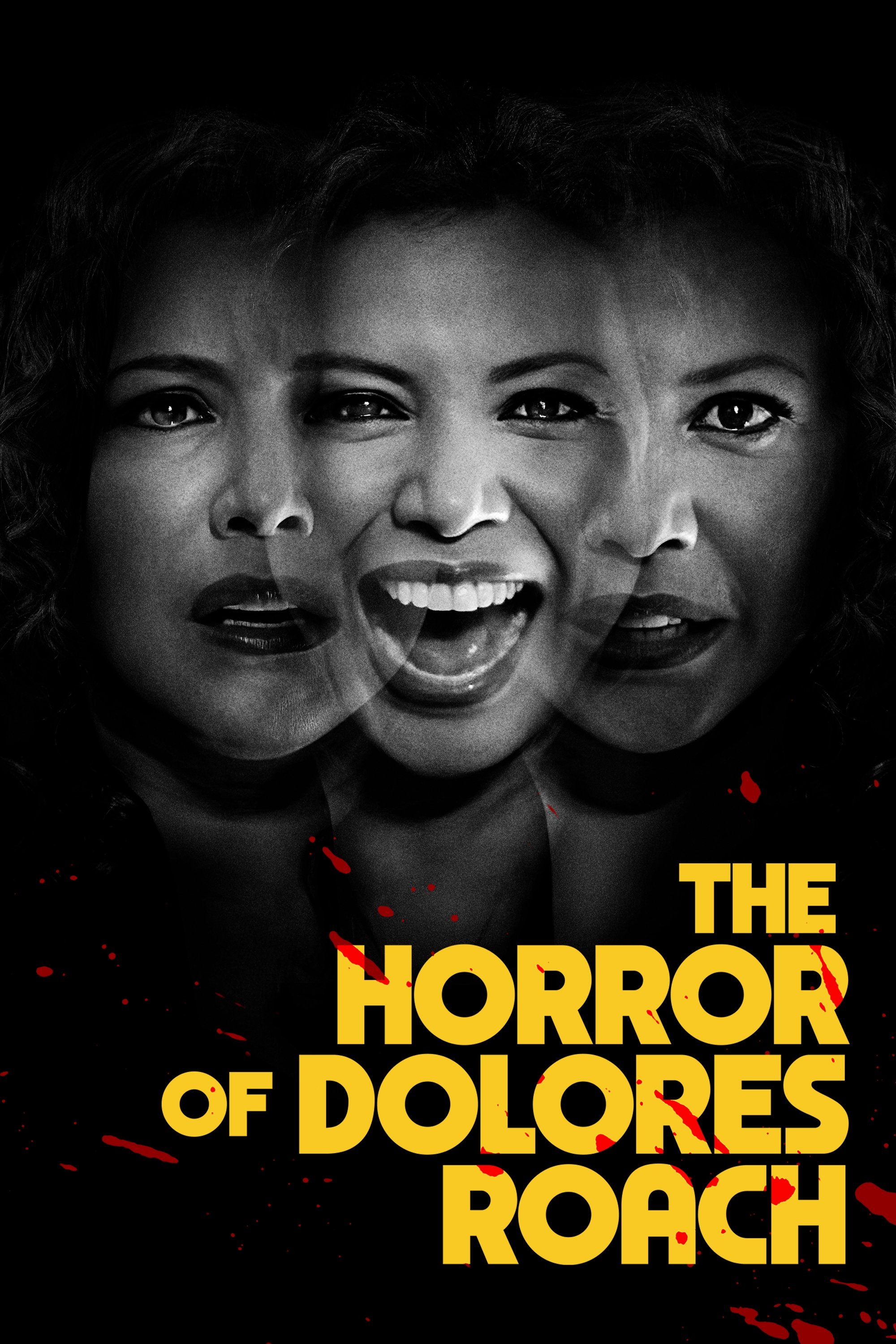 Ver El horror de Dolores Roach serie online