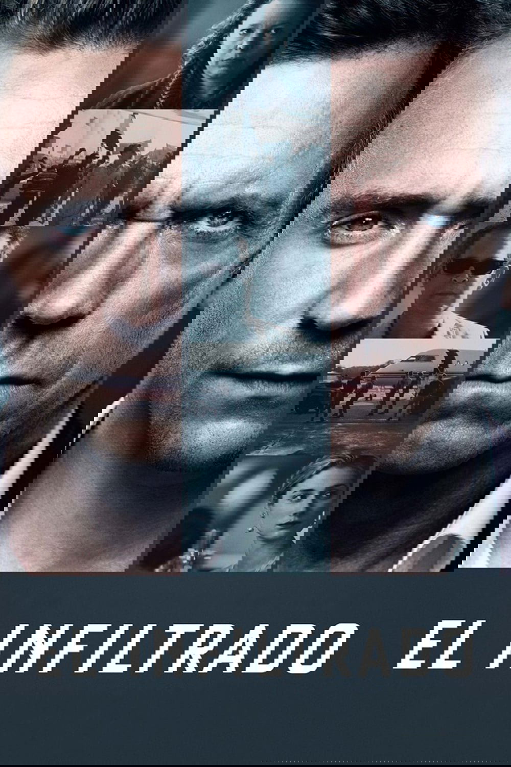 Ver El infiltrado serie online