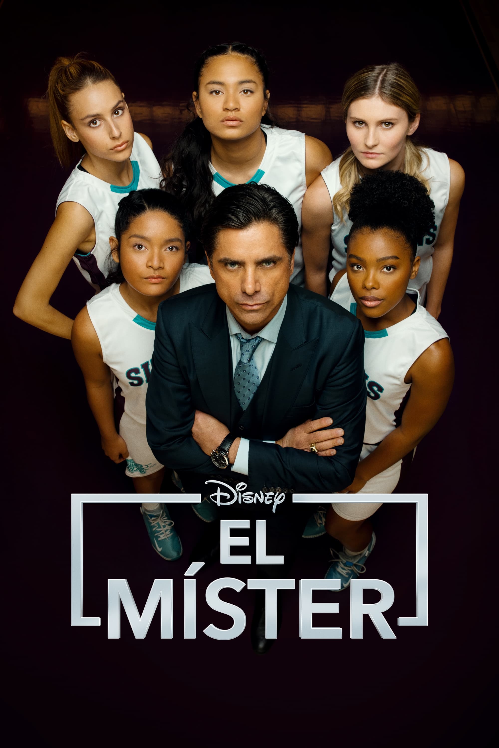 Ver El Míster serie online