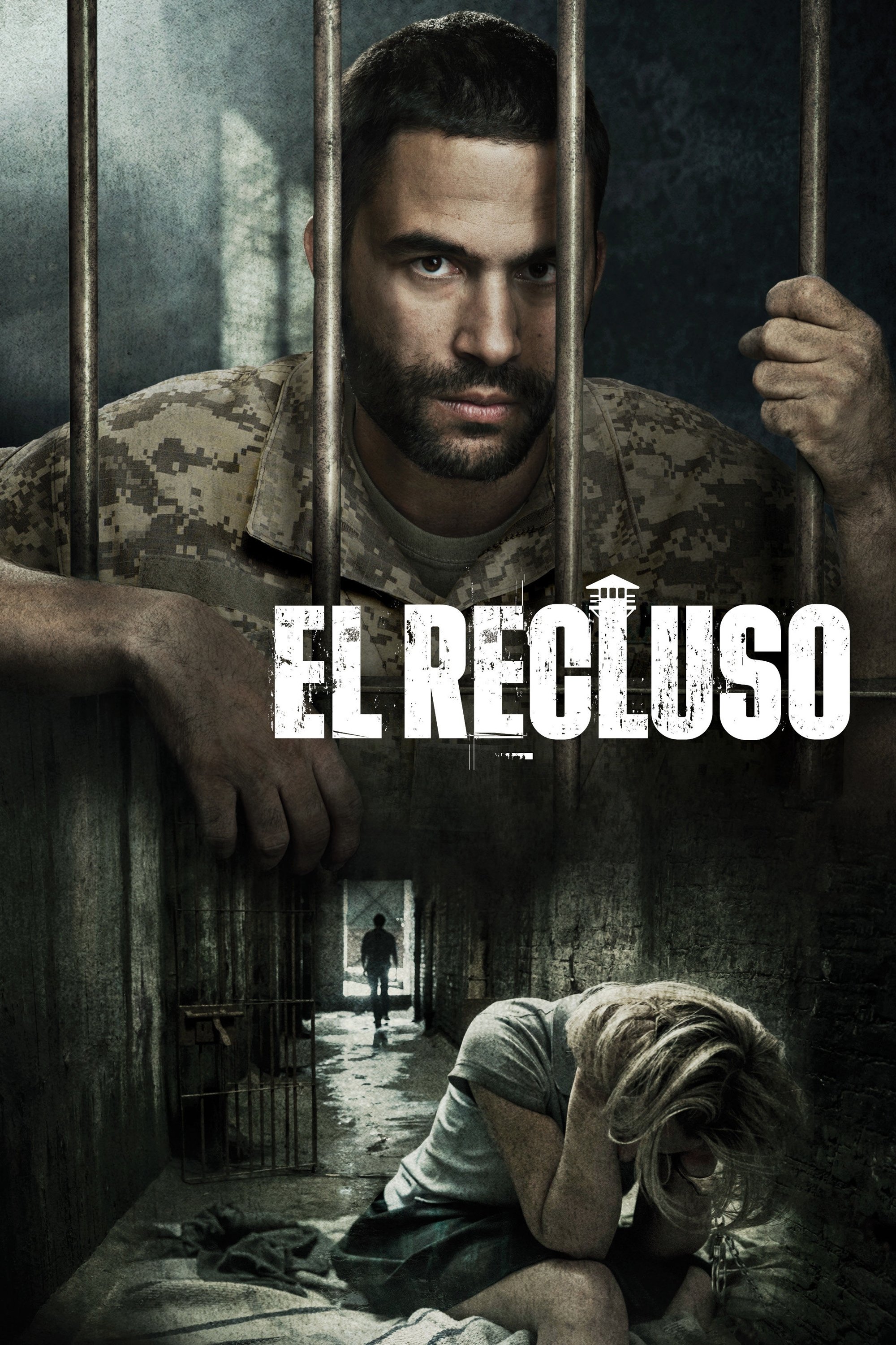 Ver El recluso serie online