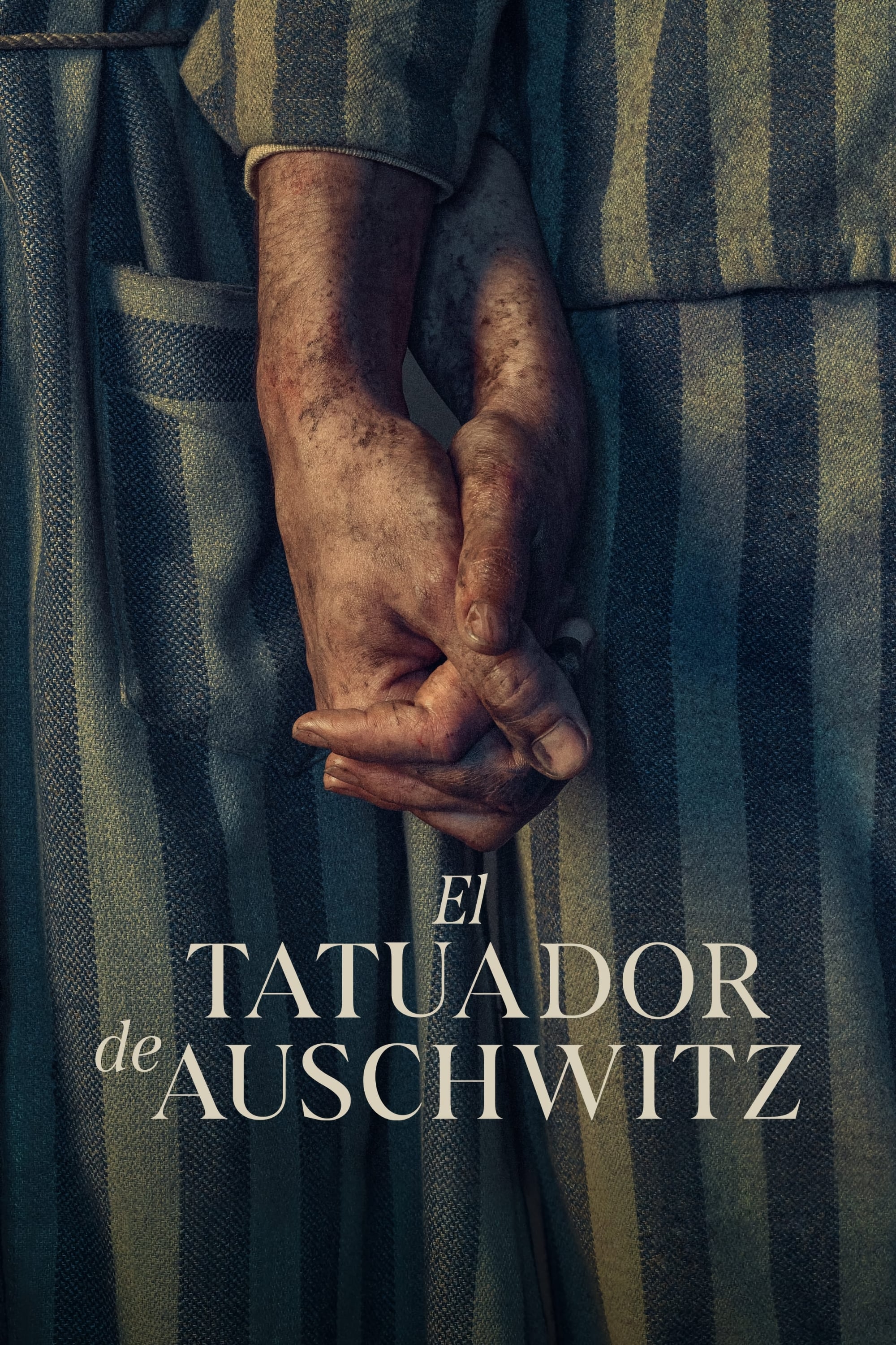 Ver El tatuador de Auschwitz serie online