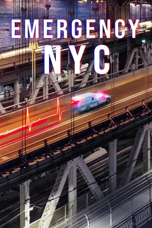 Ver Emergencias: Nueva York serie online