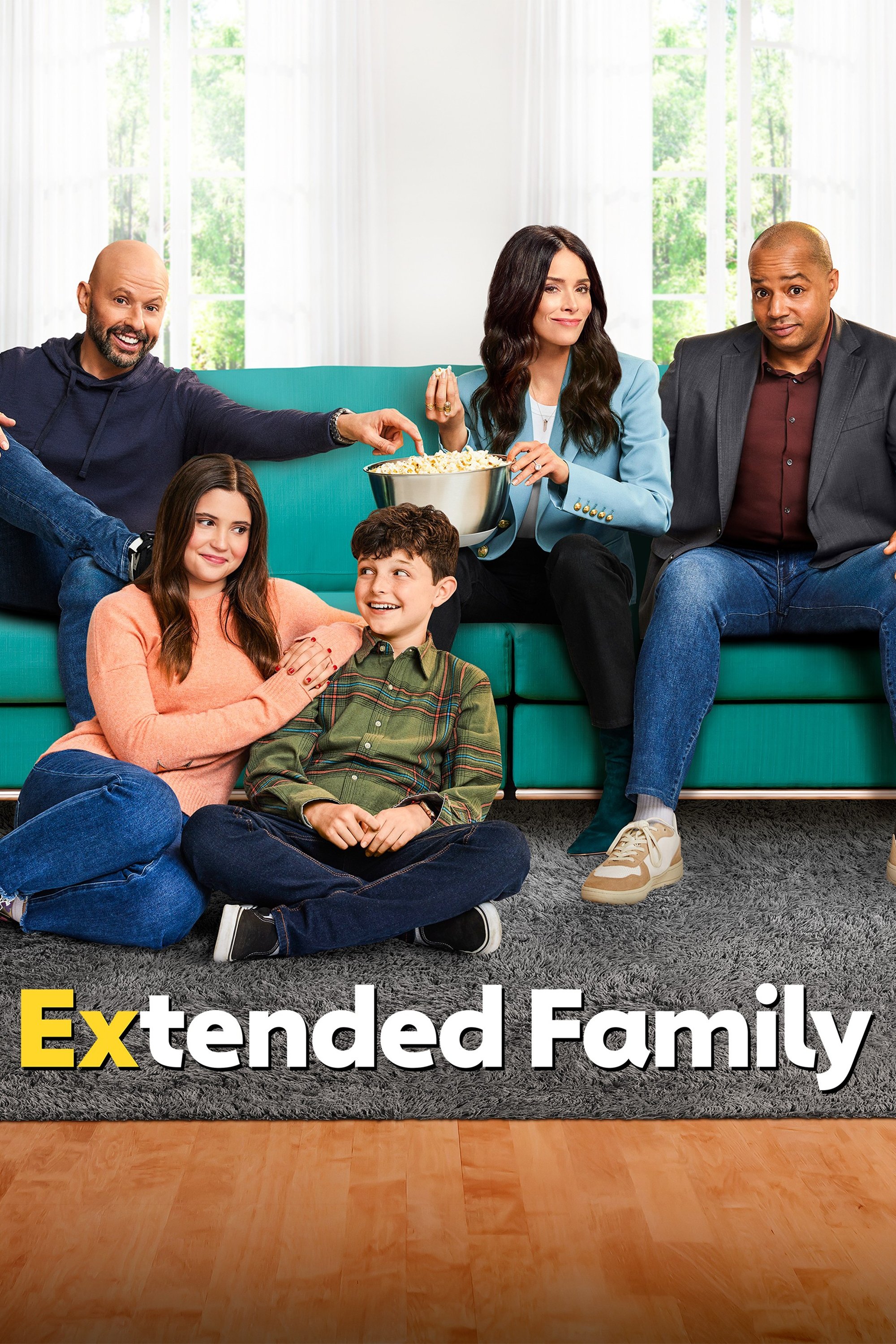 Ver Extended Family serie online