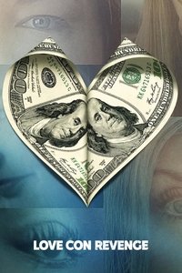 Ver Falso amor y venganza serie online