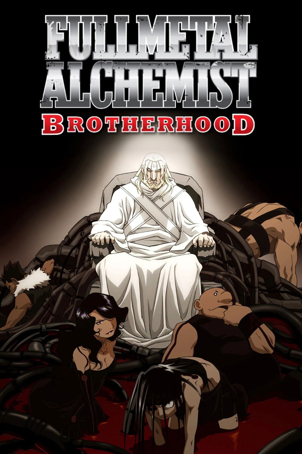 Ver Fullmetal Alchemist: Brotherhood serie online