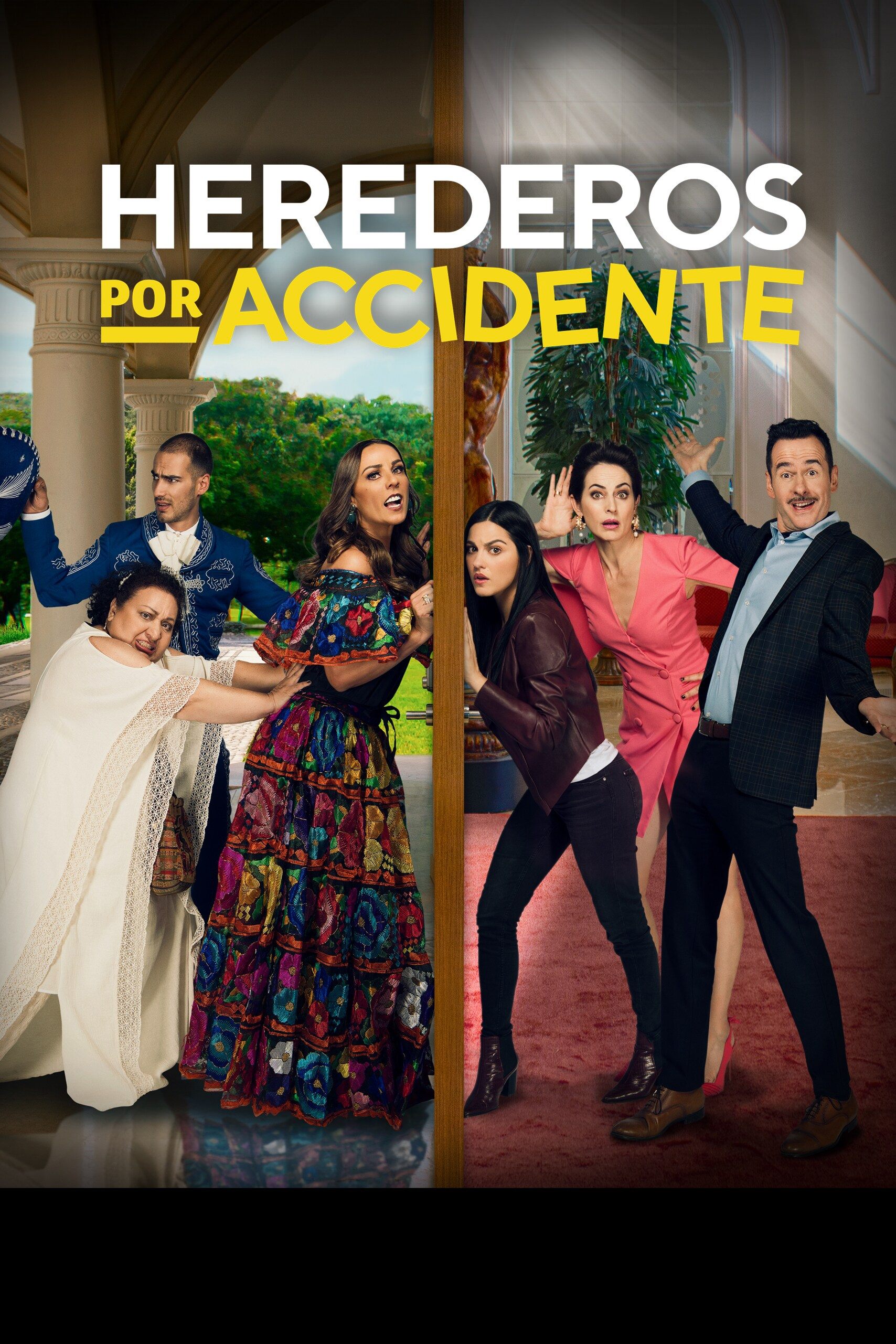 Ver Herederos por accidente serie online