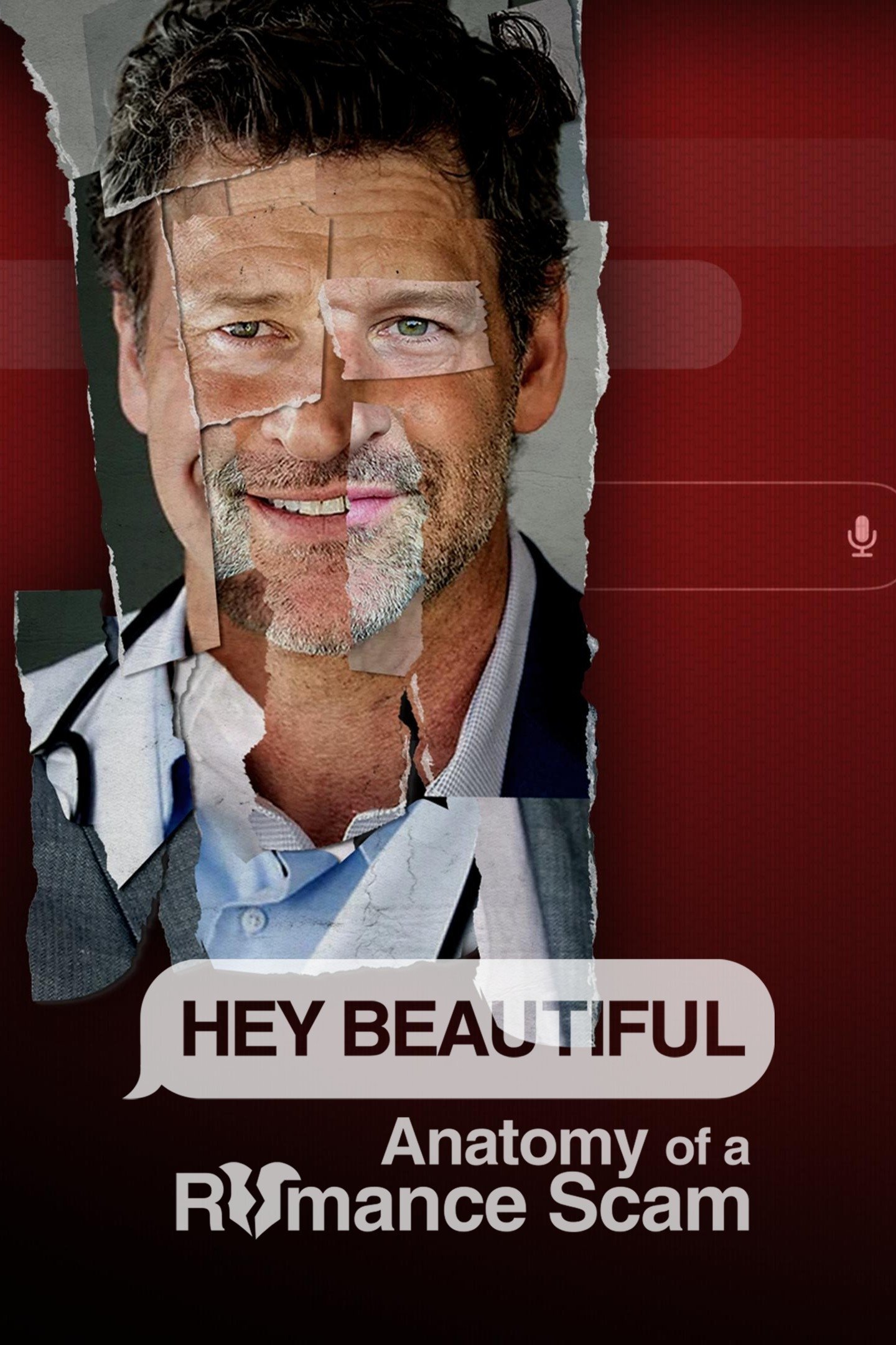 Ver Hey Beautiful: Anatomy of a Romance Scam serie online