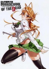 Ver HIGHSCHOOL OF THE DEAD serie online