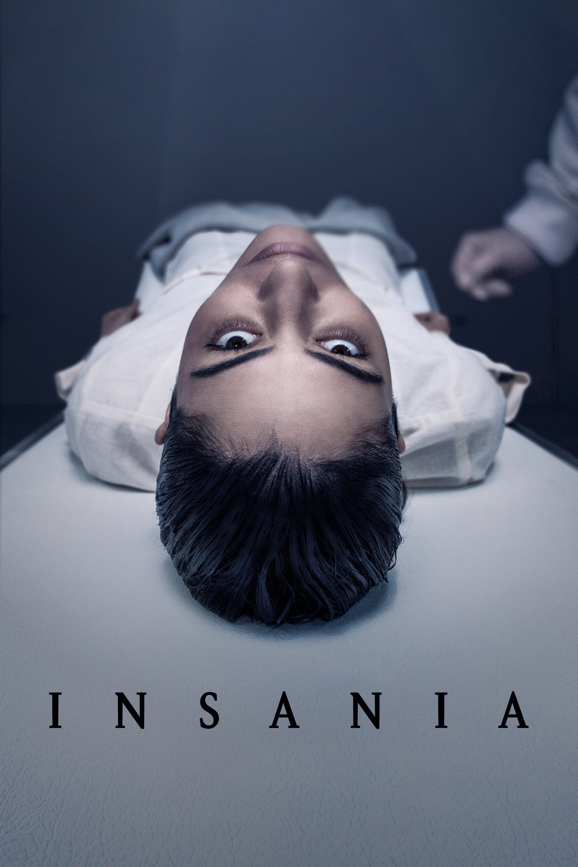 Ver Insania serie online