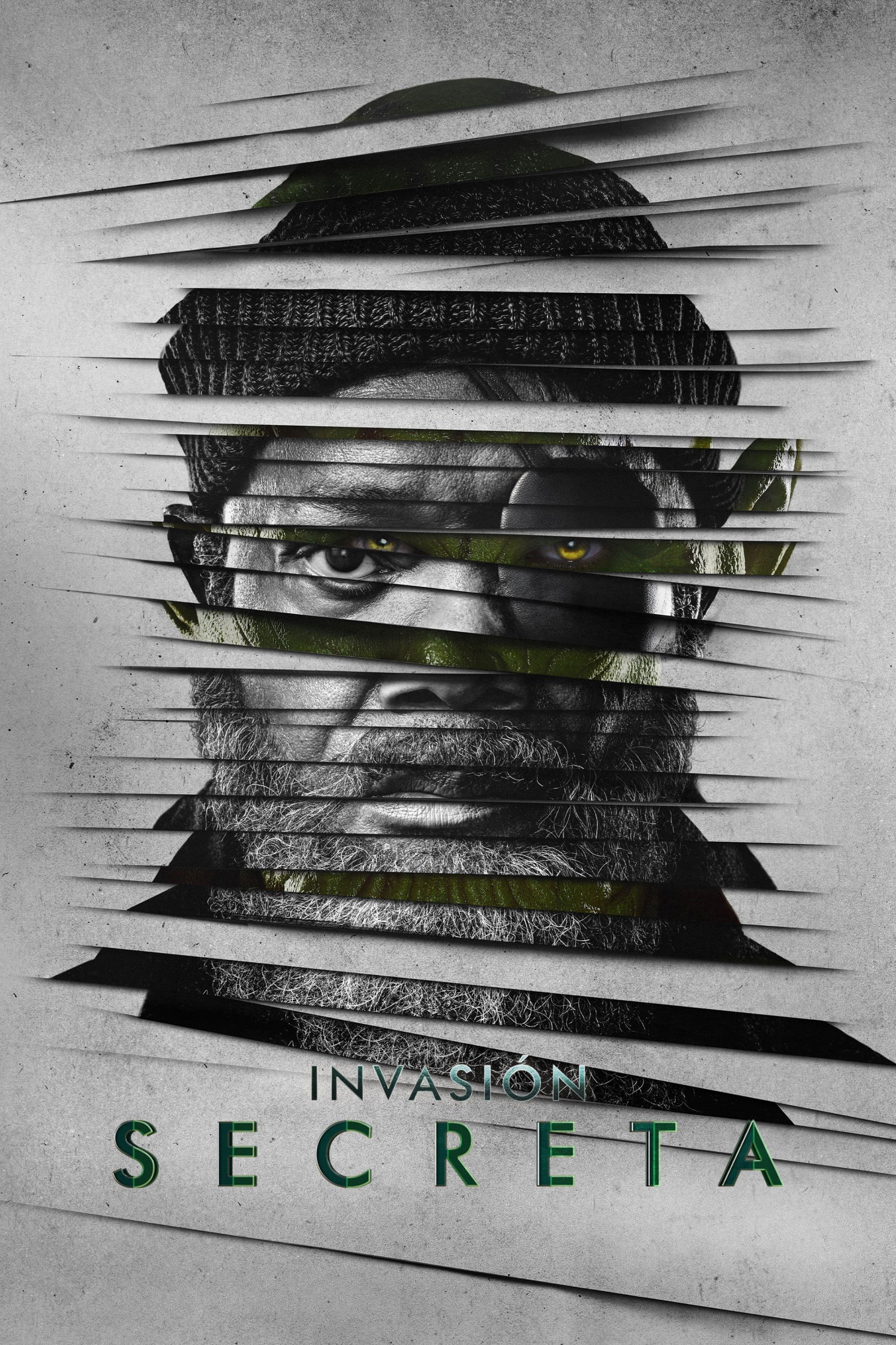 Ver Invasión secreta serie online