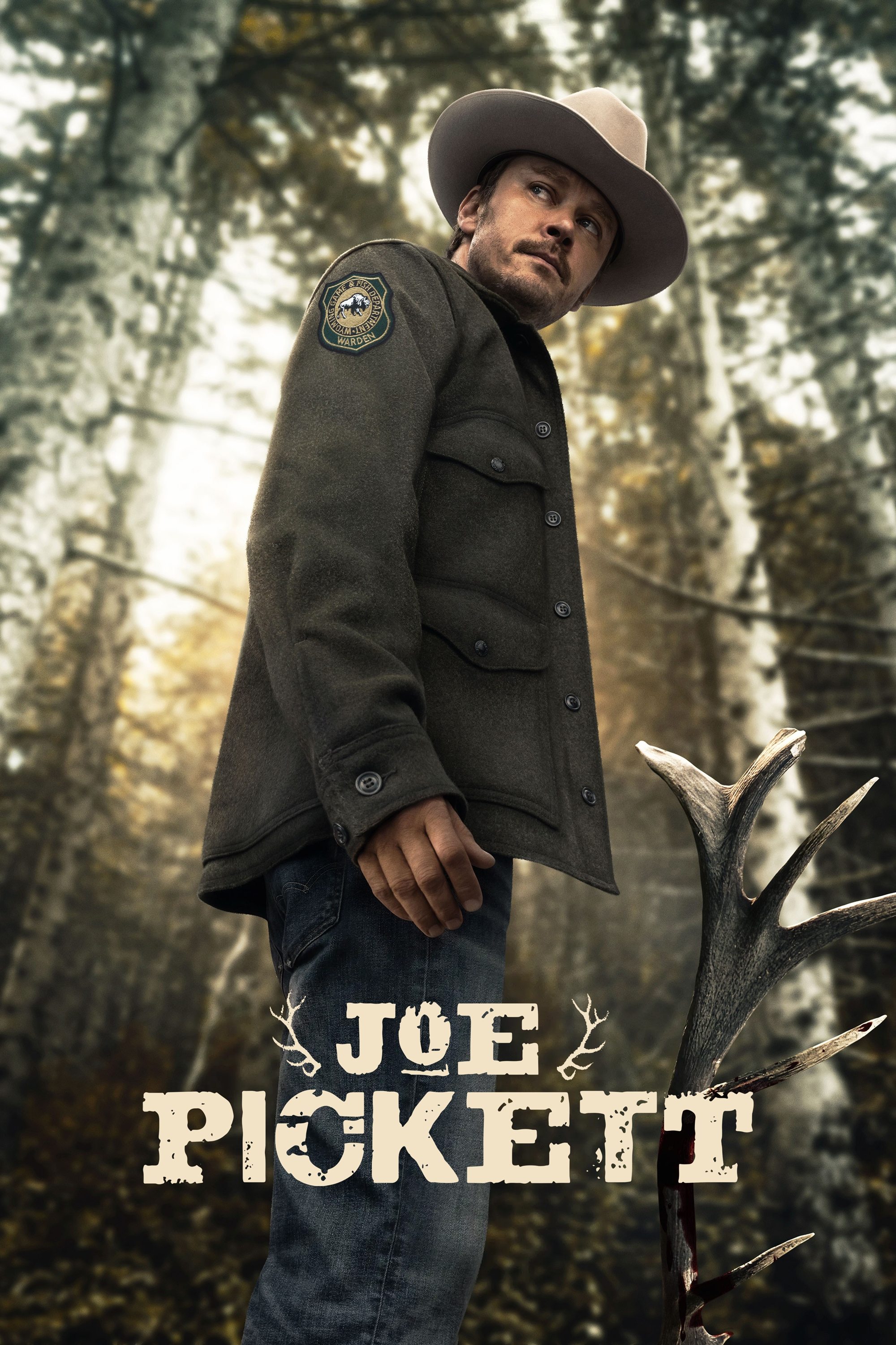 Ver Joe Pickett serie online