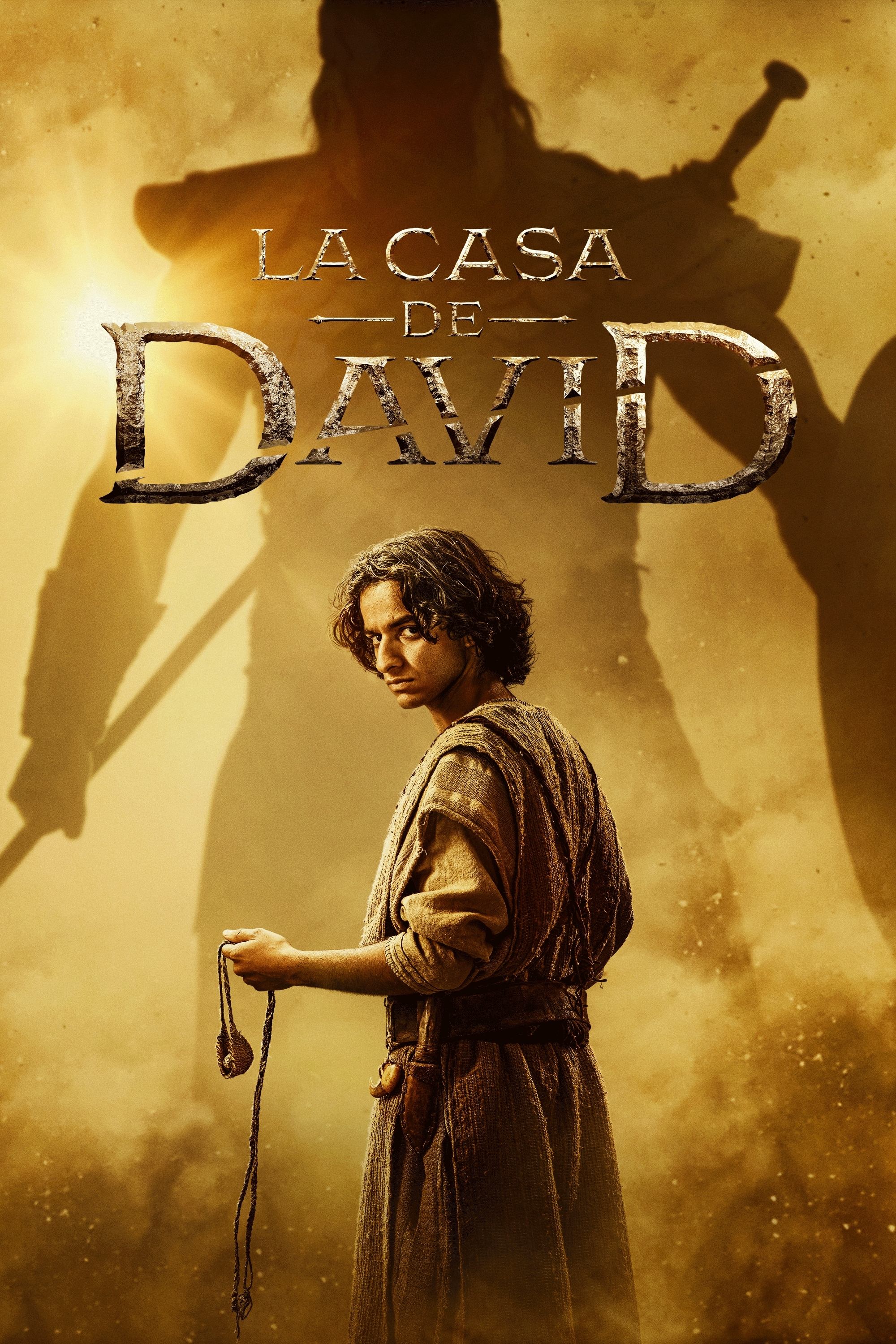 Ver La casa de David serie online