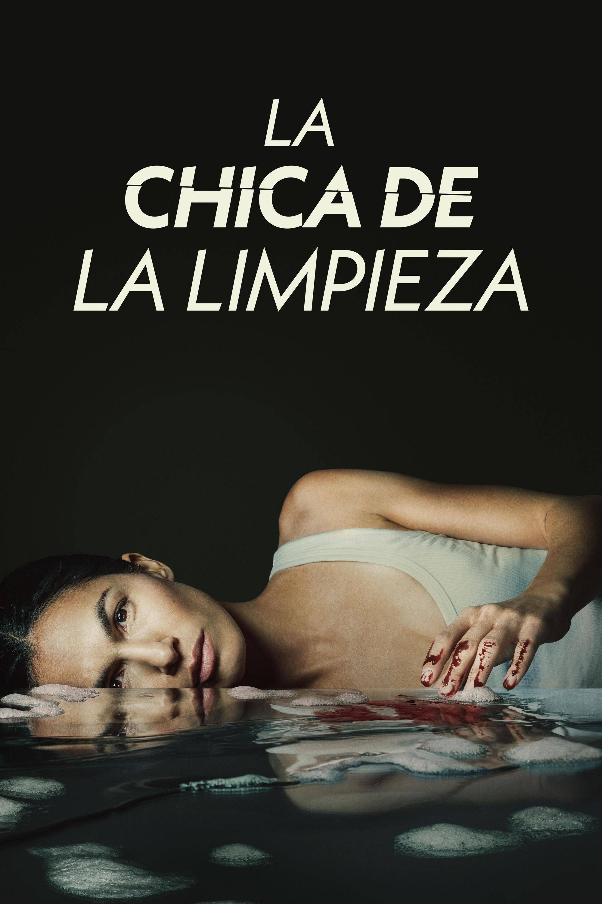 Ver La chica de la limpieza serie online