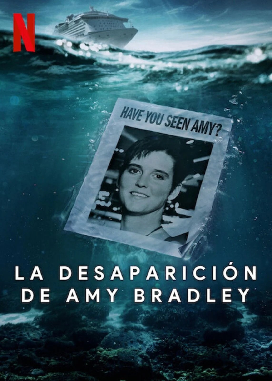 Ver La desaparición de Amy Bradley serie online