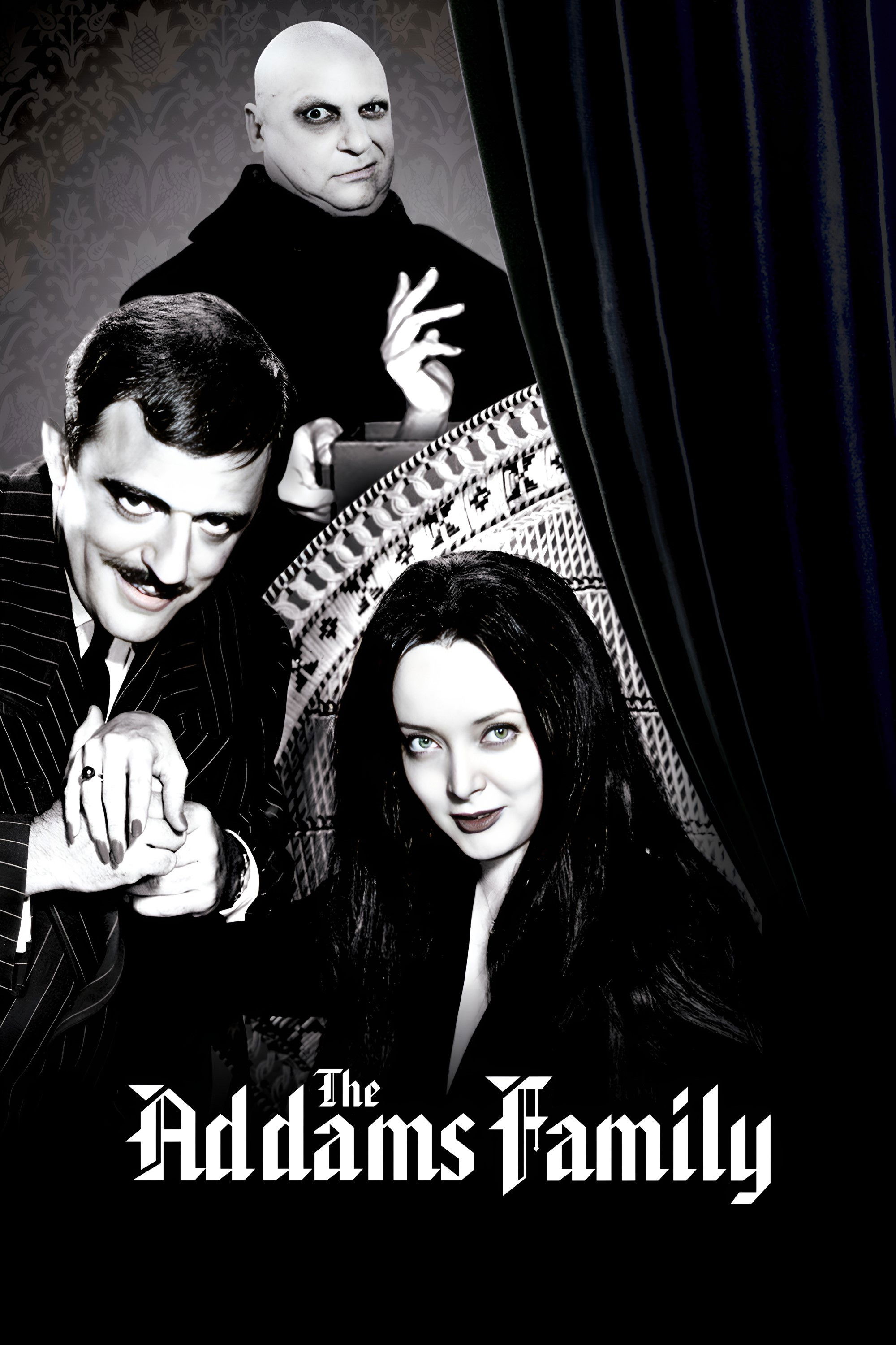 Ver La familia Addams serie online
