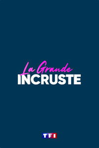 Ver La Grande Incruste serie online