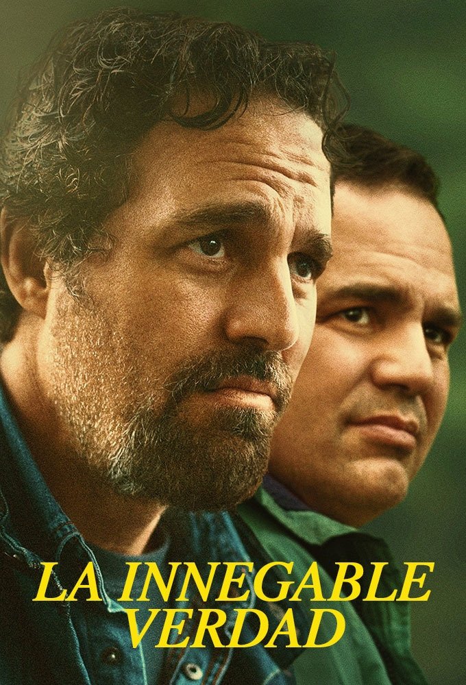 Ver La innegable verdad serie online