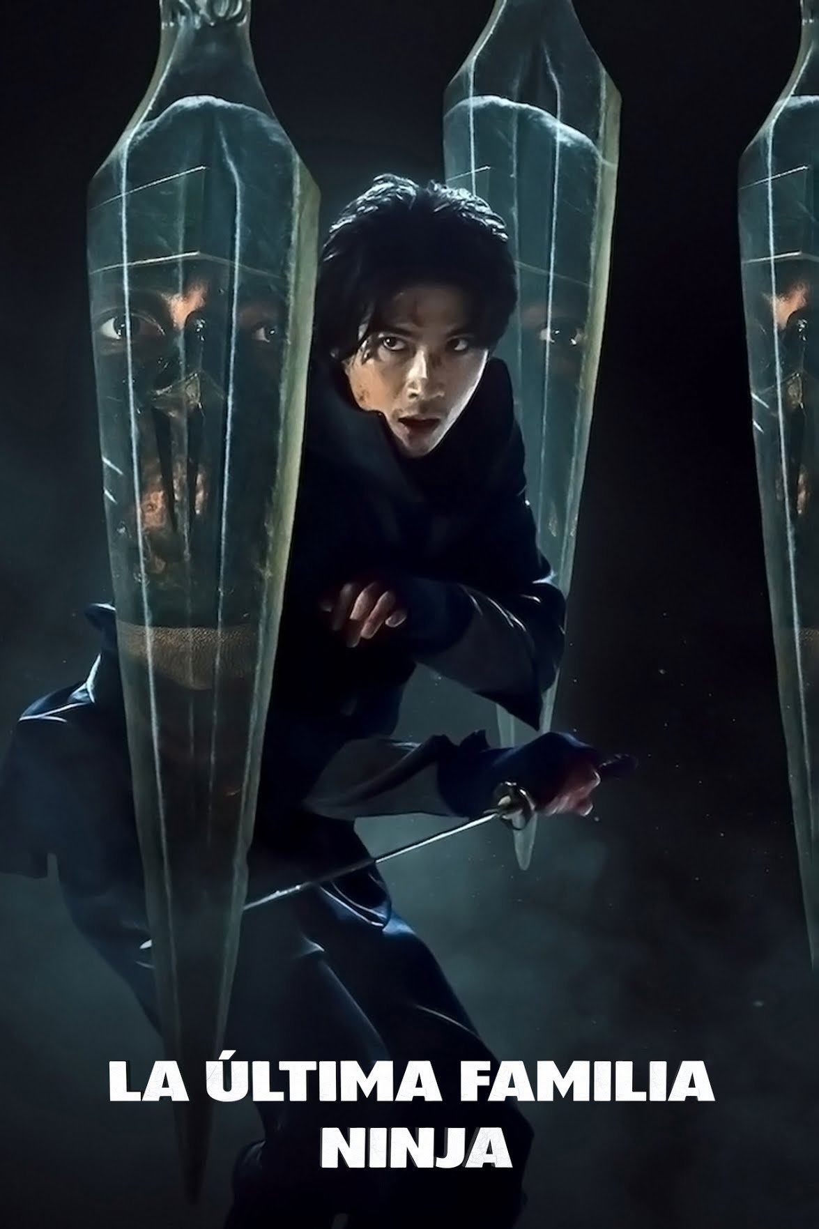 Ver La última familia ninja serie online
