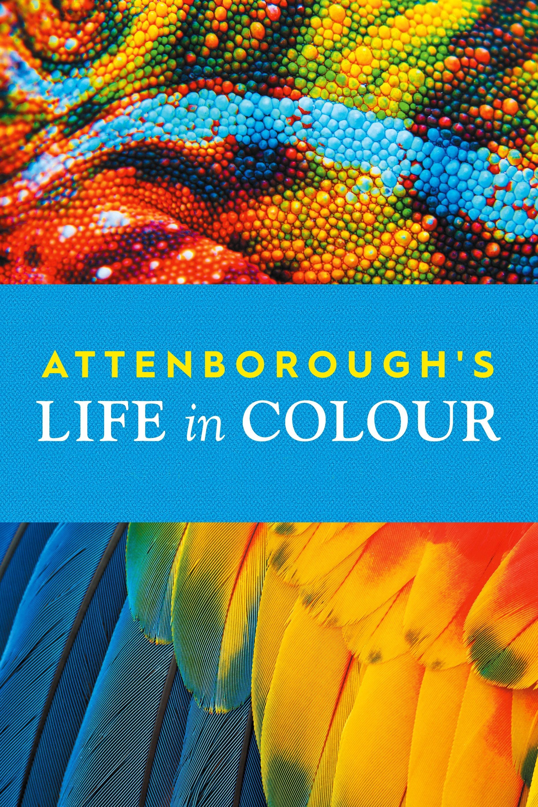 Ver La vida a todo color, con David Attenborough serie online