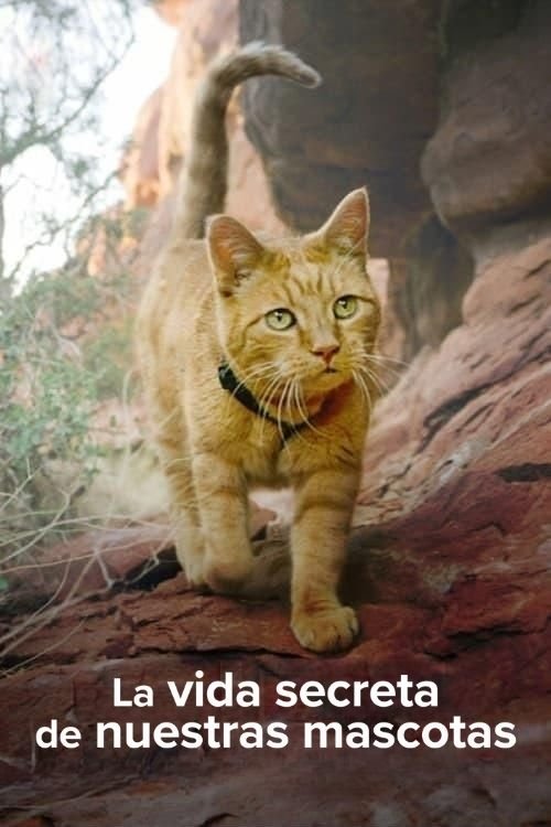 Ver La vida secreta de nuestras mascotas serie online