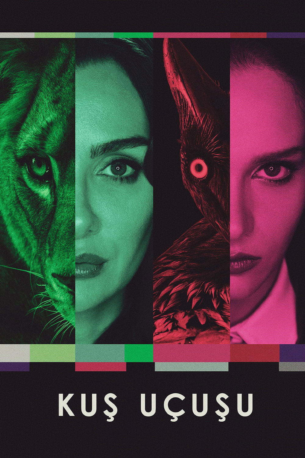 Ver Las alas de la ambición serie online