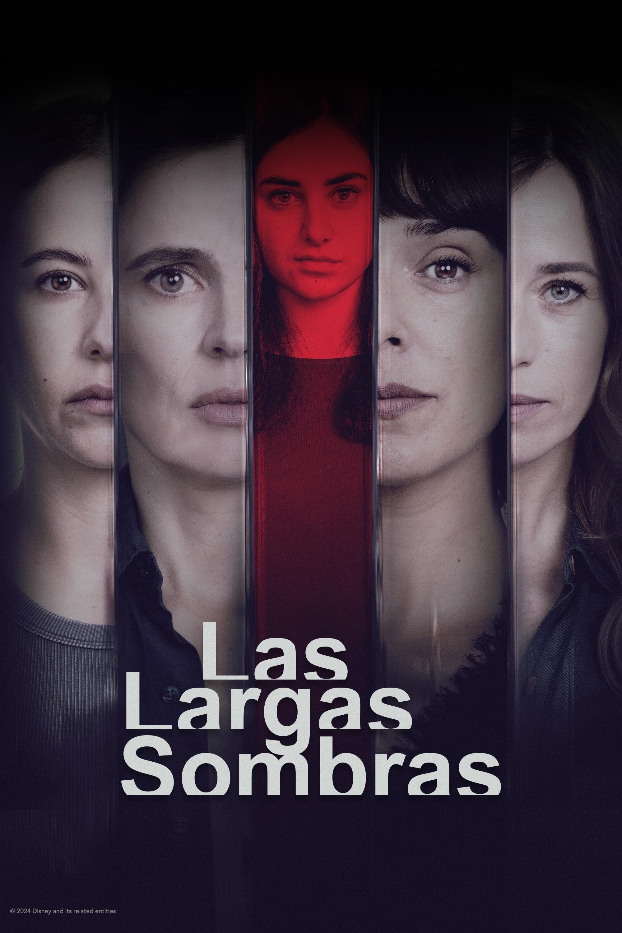 Ver Las largas sombras serie online