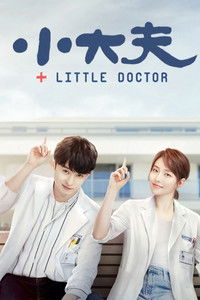 Ver Little Doctor serie online