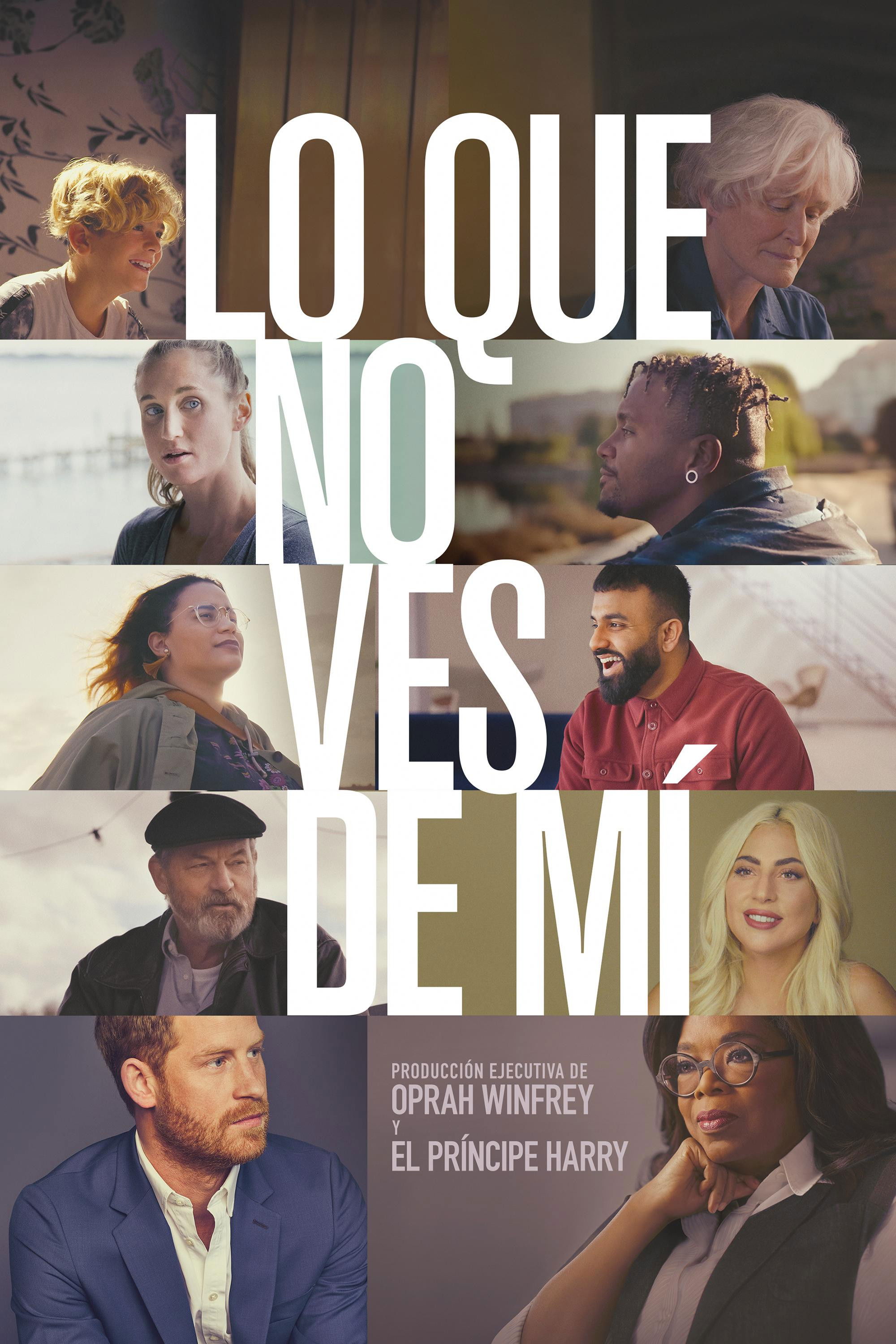 Ver Lo que no ves de mí serie online