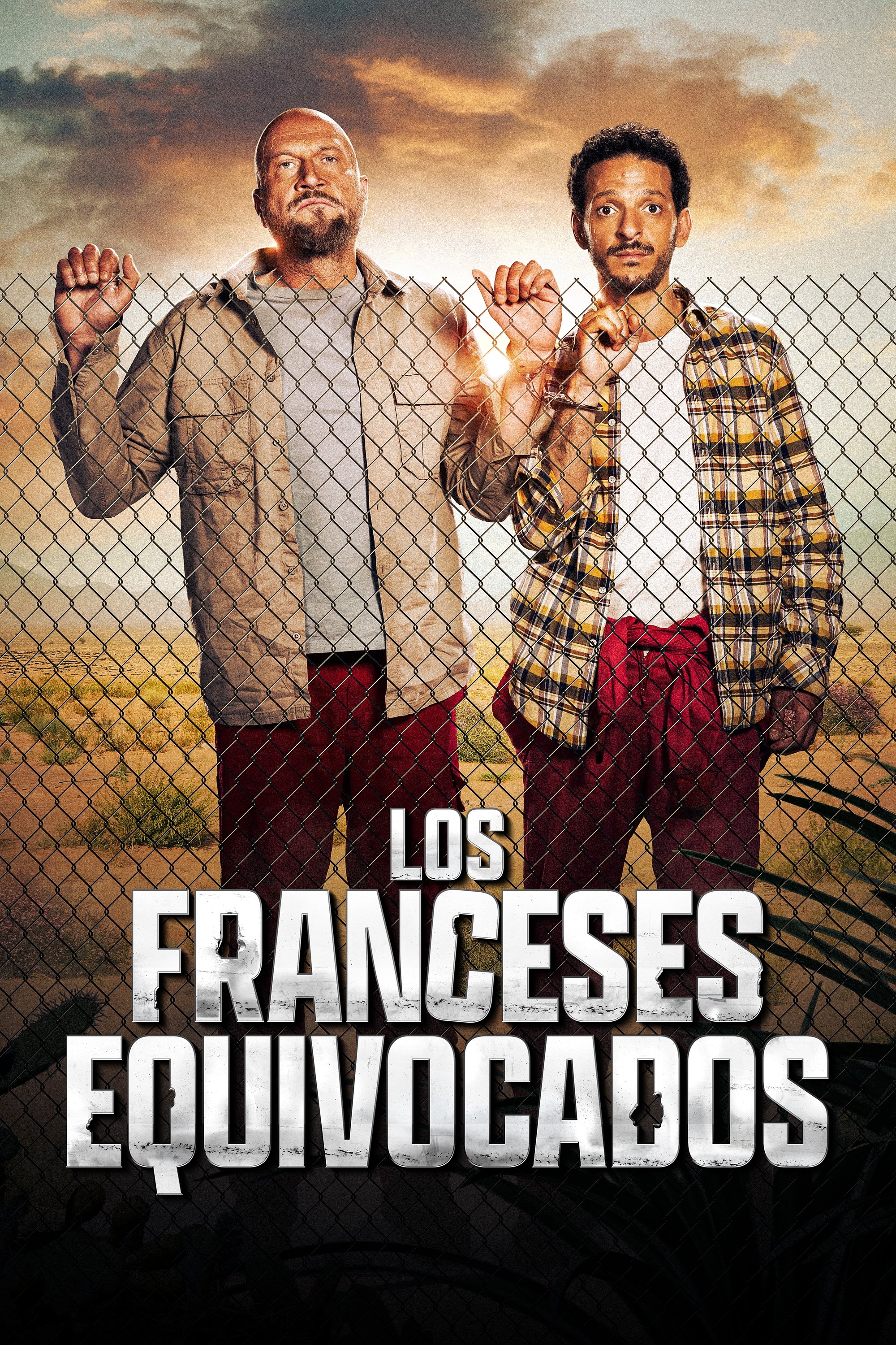 Ver Los amateurs serie online